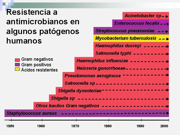Resistencia a antimicrobianos en algunos patógenos humanos Acinetobacter sp Enterococcus fecalis Streptococcus pneumoniae Mycobacterium