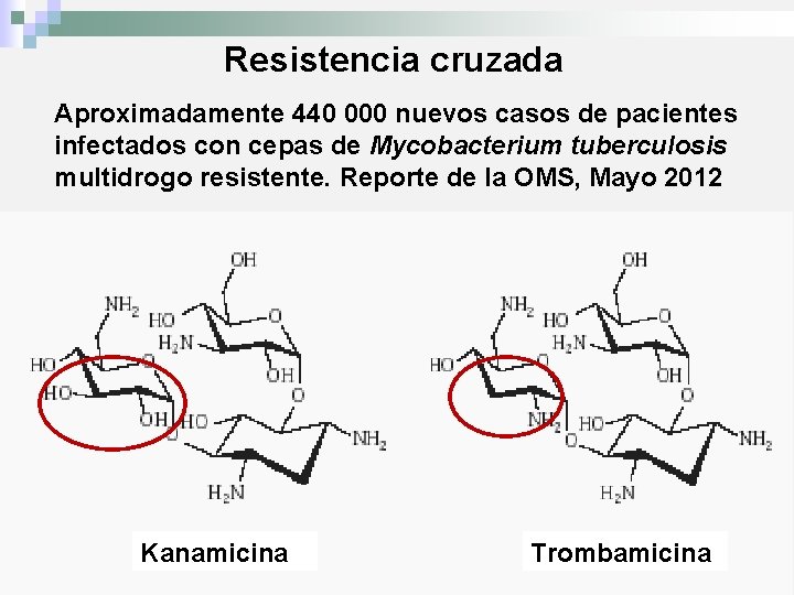 Resistencia cruzada Aproximadamente 440 000 nuevos casos de pacientes infectados con cepas de Mycobacterium