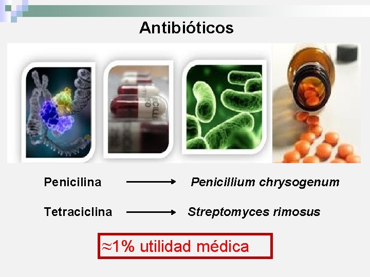 Antibióticos Penicilina Penicillium chrysogenum Tetraciclina Streptomyces rimosus ≈1% utilidad médica 