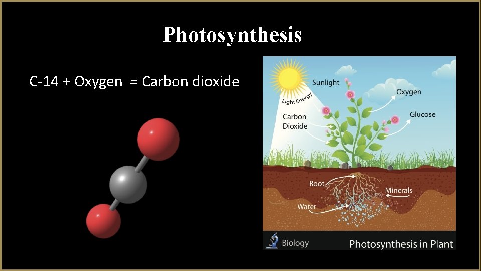 Photosynthesis C-14 + Oxygen = Carbon dioxide 