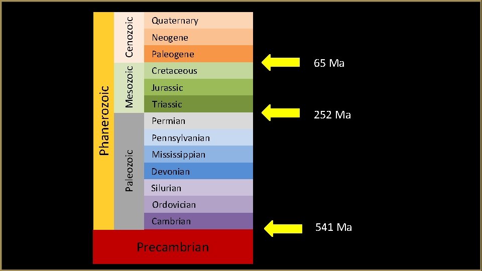 Mesozoic Cenozoic Neogene Paleogene Cretaceous 65 Ma Jurassic Triassic Permian 252 Ma Pennsylvanian Paleozoic