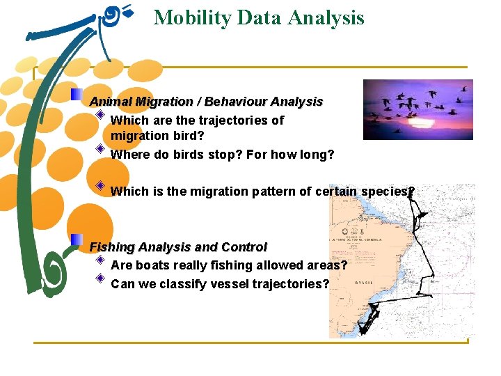 Mobility Data Analysis Animal Migration / Behaviour Analysis Which are the trajectories of migration