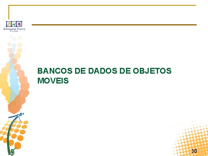 BANCOS DE DADOS DE OBJETOS MOVEIS 30 