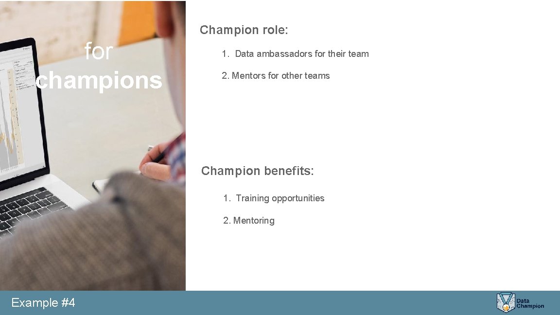 Champion role: for champions 1. Data ambassadors for their team 2. Mentors for other