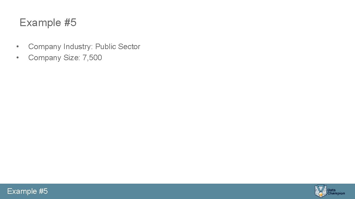 Example #5 • • Company Industry: Public Sector Company Size: 7, 500 Example #5