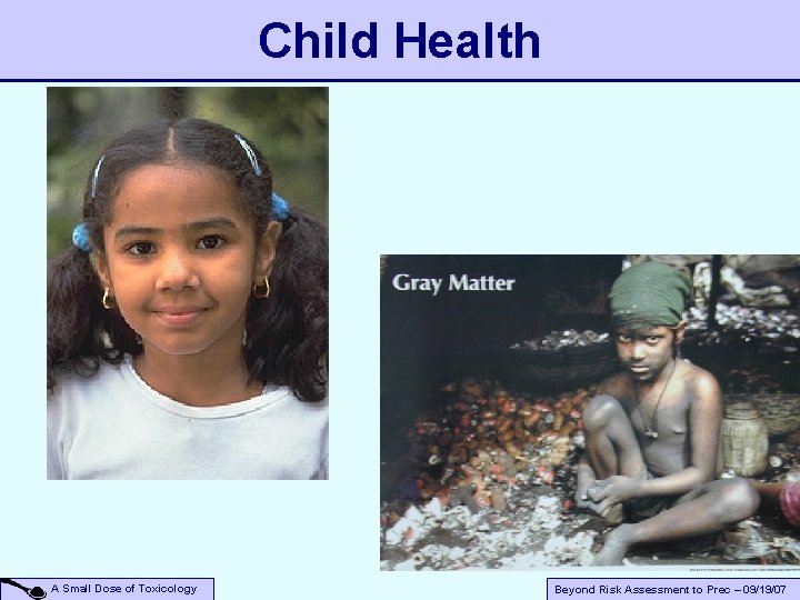 Child Health A Small Dose of Toxicology Beyond Risk Assessment to Prec – 09/19/07