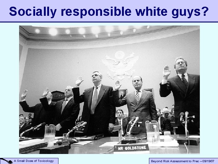 Socially responsible white guys? A Small Dose of Toxicology Beyond Risk Assessment to Prec