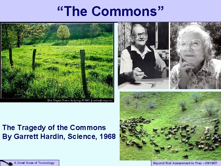 “The Commons” The Tragedy of the Commons By Garrett Hardin, Science, 1968 A Small