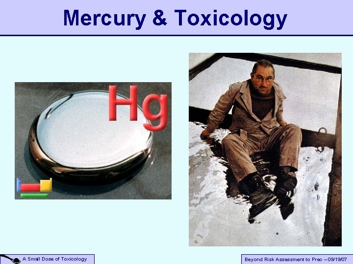 Mercury & Toxicology A Small Dose of Toxicology Beyond Risk Assessment to Prec –