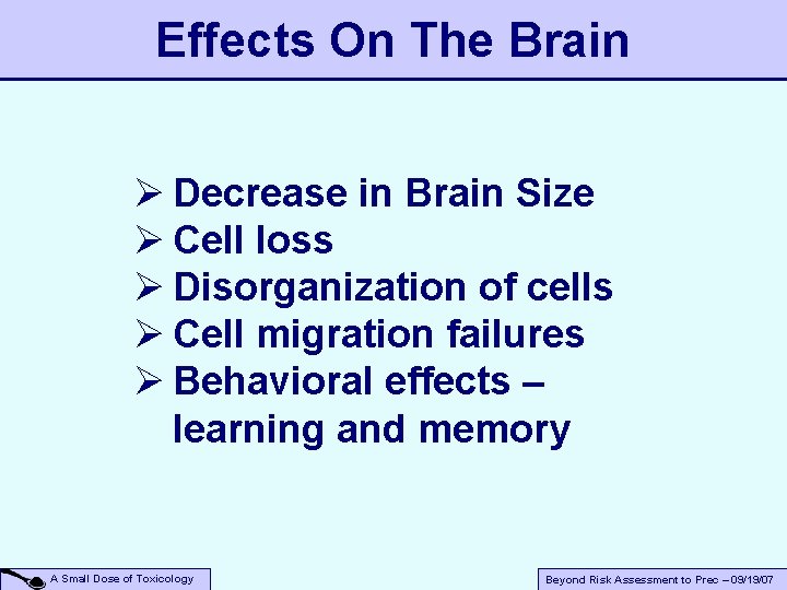 Effects On The Brain Ø Decrease in Brain Size Ø Cell loss Ø Disorganization