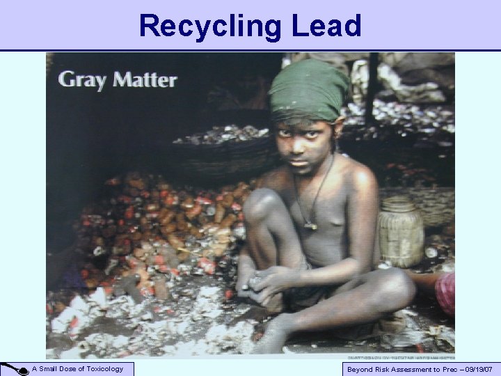 Recycling Lead A Small Dose of Toxicology Beyond Risk Assessment to Prec – 09/19/07