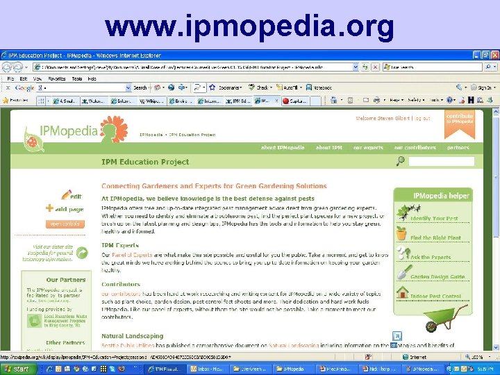 www. ipmopedia. org A Small Dose of Toxicology Beyond Risk Assessment to Prec –