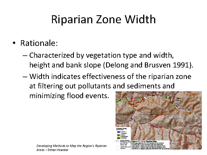 Riparian Zone Width • Rationale: – Characterized by vegetation type and width, height and