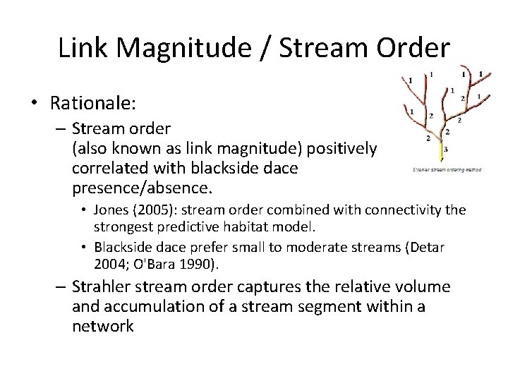 Link Magnitude / Stream Order • Rationale: – Stream order (also known as link