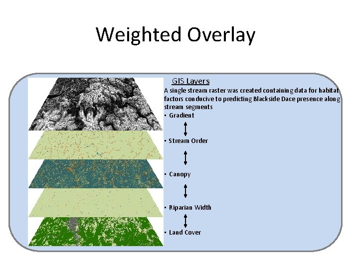 Weighted Overlay GIS Layers A single stream raster was created containing data for habitat