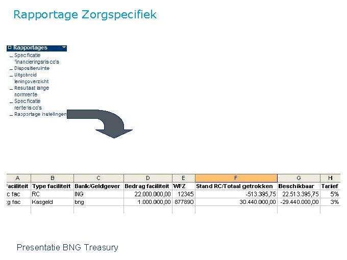 Rapportage Zorgspecifiek Presentatie BNG Treasury 