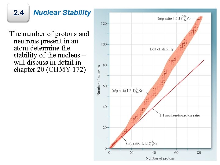 2. 4 Nuclear Stability The number of protons and neutrons present in an atom