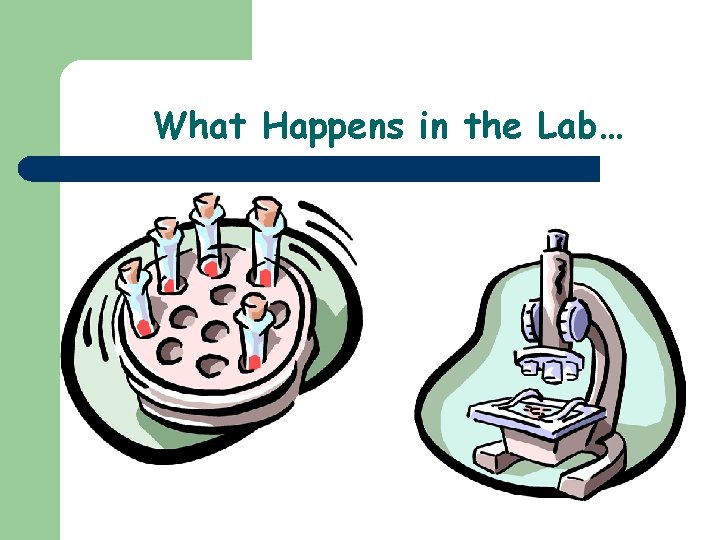 What Happens in the Lab… 