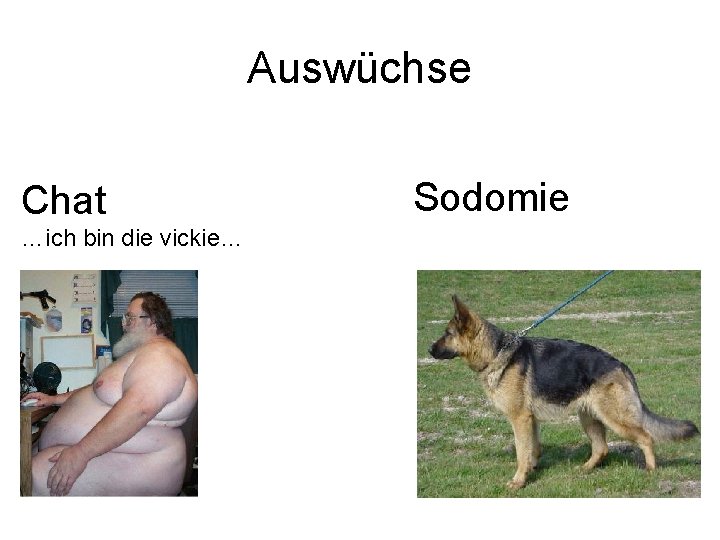 Auswüchse Chat …ich bin die vickie… Sodomie 