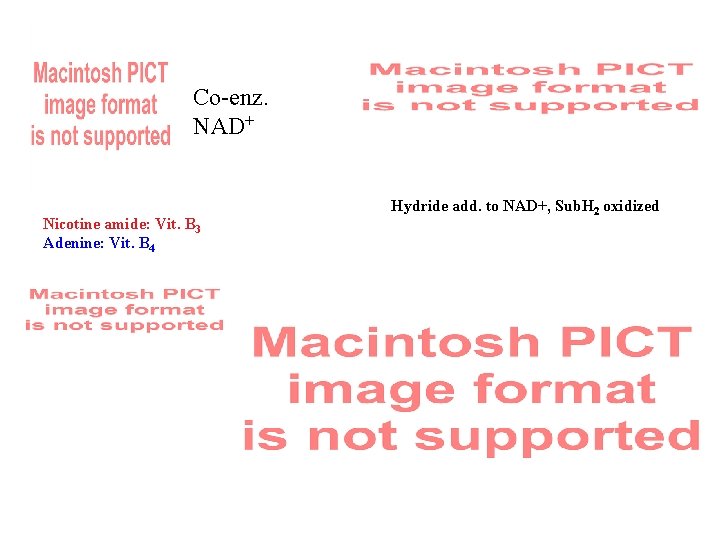 Co-enz. NAD+ Nicotine amide: Vit. B 3 Adenine: Vit. B 4 Hydride add. to