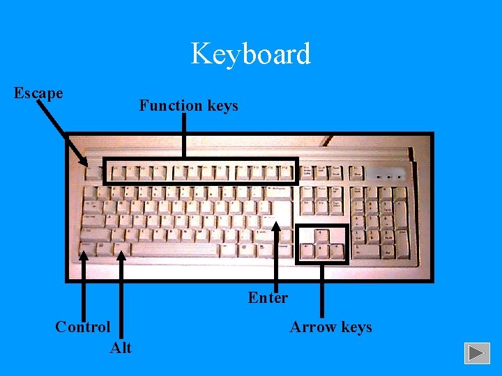 Keyboard Escape Function keys Enter Control Alt Arrow keys 