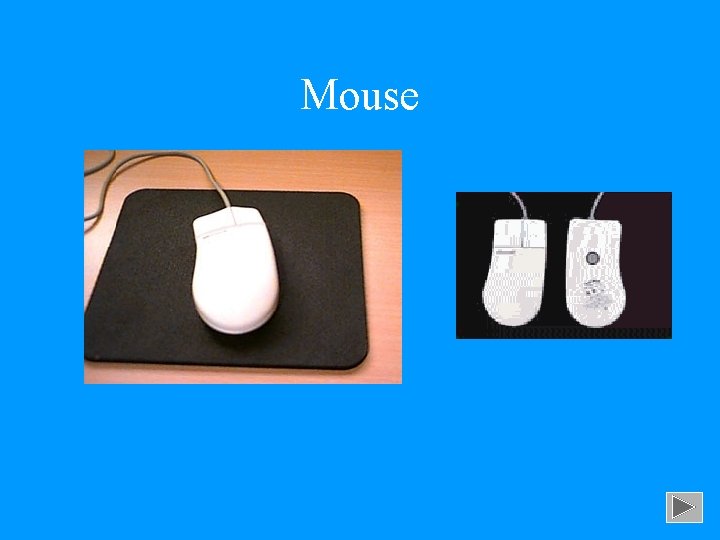 Mouse 