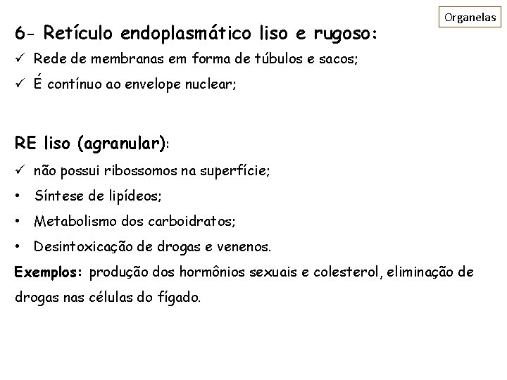 6 - Retículo endoplasmático liso e rugoso: Organelas ü Rede de membranas em forma