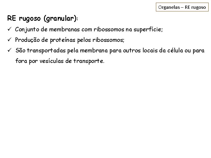 Organelas – RE rugoso (granular): ü Conjunto de membranas com ribossomos na superfície; ü