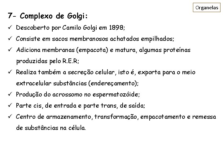 7 - Complexo de Golgi: Organelas ü Descoberto por Camilo Golgi em 1898; ü