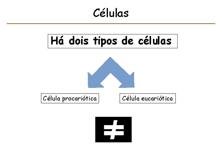 Células Há dois tipos de células Célula procariótica Célula eucariótica 