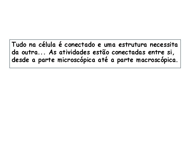 Tudo na célula é conectado e uma estrutura necessita da outra. . . As