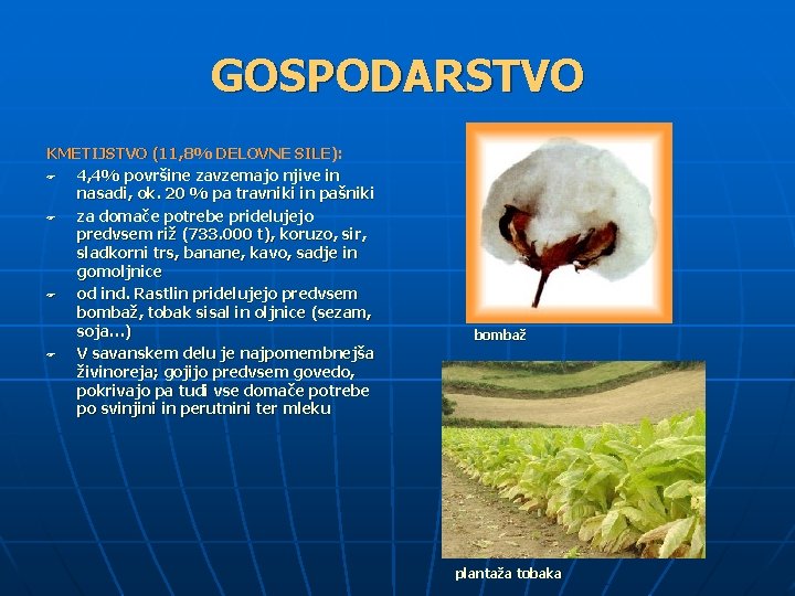 GOSPODARSTVO KMETIJSTVO (11, 8% DELOVNE SILE): F 4, 4% površine zavzemajo njive in nasadi,