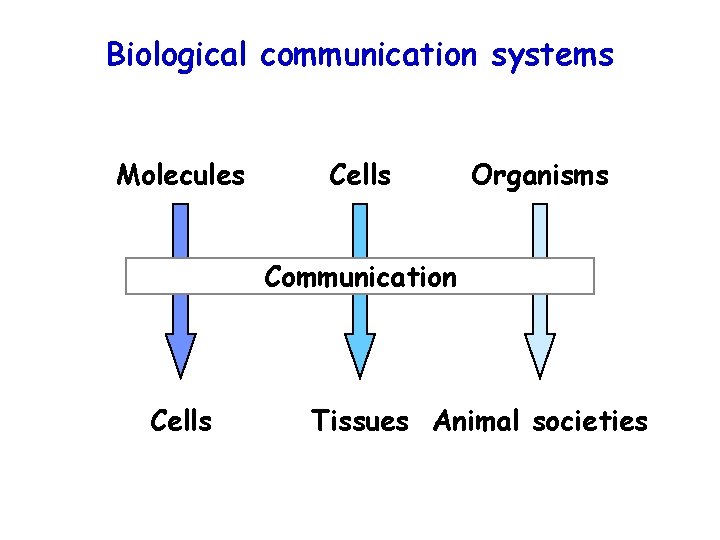 Biological communication systems Molecules Cells Organisms Communication Cells Tissues Animal societies 