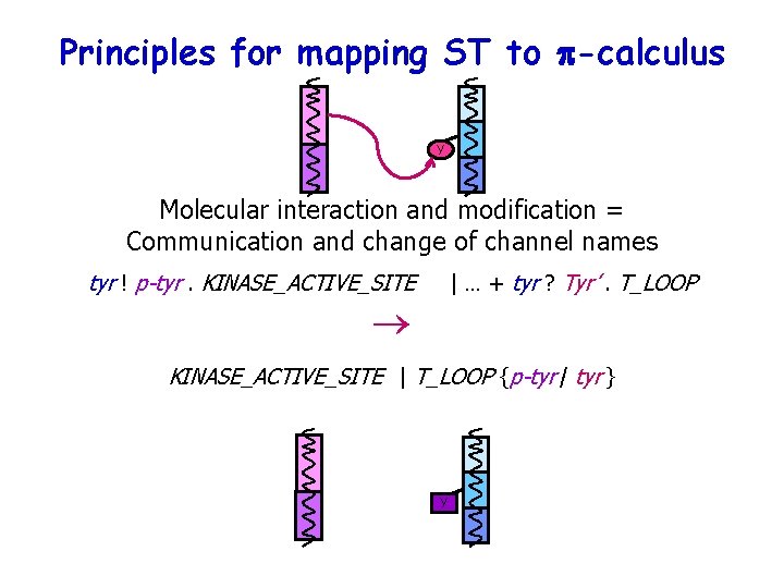 Principles for mapping ST to p-calculus Y Molecular interaction and modification = Communication and