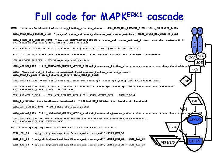 Full code for MAPKERK 1 cascade MEK 1: : =(new mek backbone 1 backbone