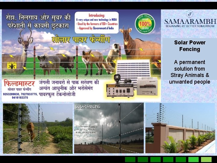 Solar Power Fencing A permanent solution from Stray Animals & unwanted people 
