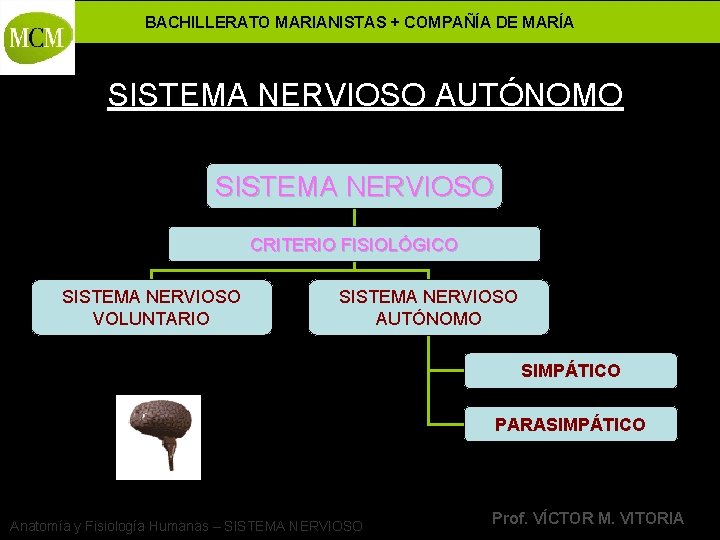 BACHILLERATO MARIANISTAS + COMPAÑÍA DE MARÍA SISTEMA NERVIOSO AUTÓNOMO SISTEMA NERVIOSO CRITERIO FISIOLÓGICO SISTEMA