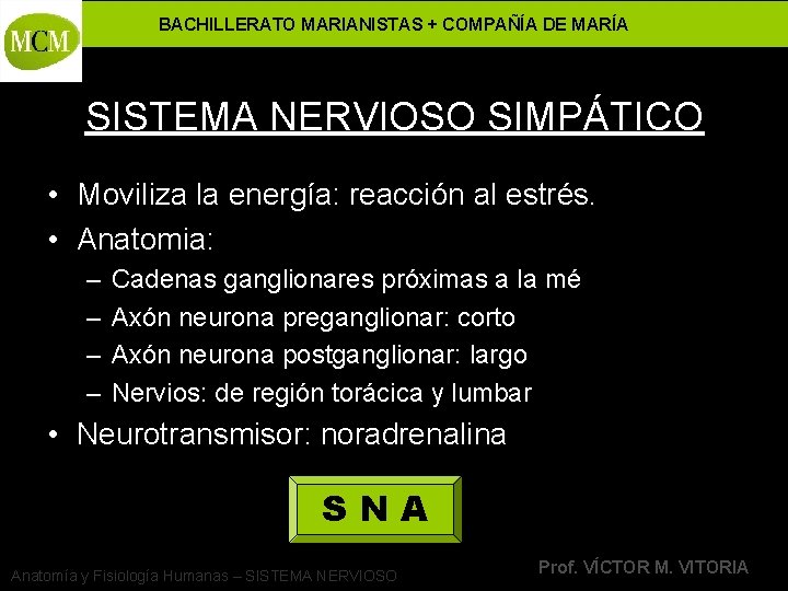 BACHILLERATO MARIANISTAS + COMPAÑÍA DE MARÍA SISTEMA NERVIOSO SIMPÁTICO • Moviliza la energía: reacción