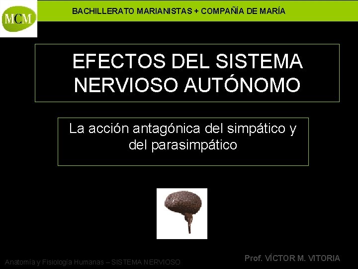 BACHILLERATO MARIANISTAS + COMPAÑÍA DE MARÍA EFECTOS DEL SISTEMA NERVIOSO AUTÓNOMO La acción antagónica