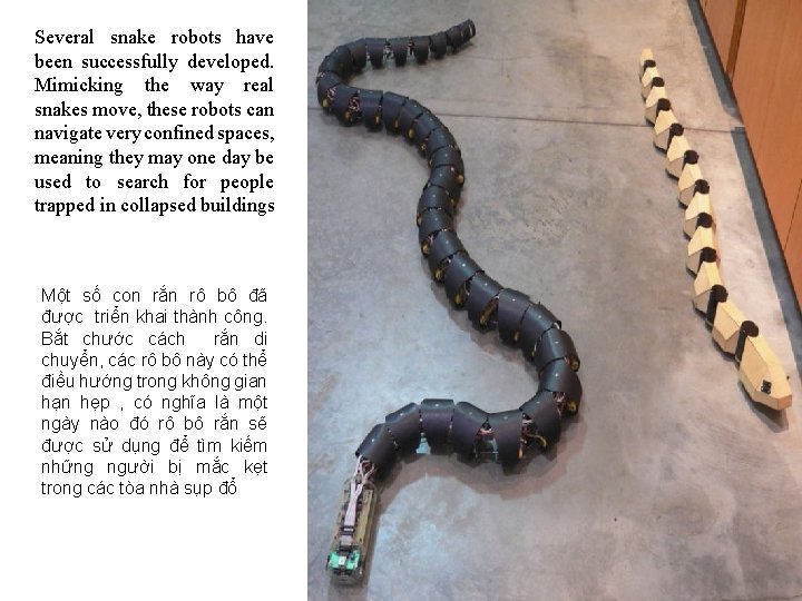 Several snake robots have been successfully developed. Mimicking the way real snakes move, these