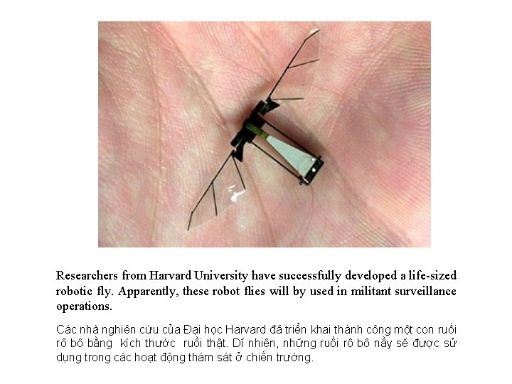 Researchers from Harvard University have successfully developed a life-sized robotic fly. Apparently, these robot