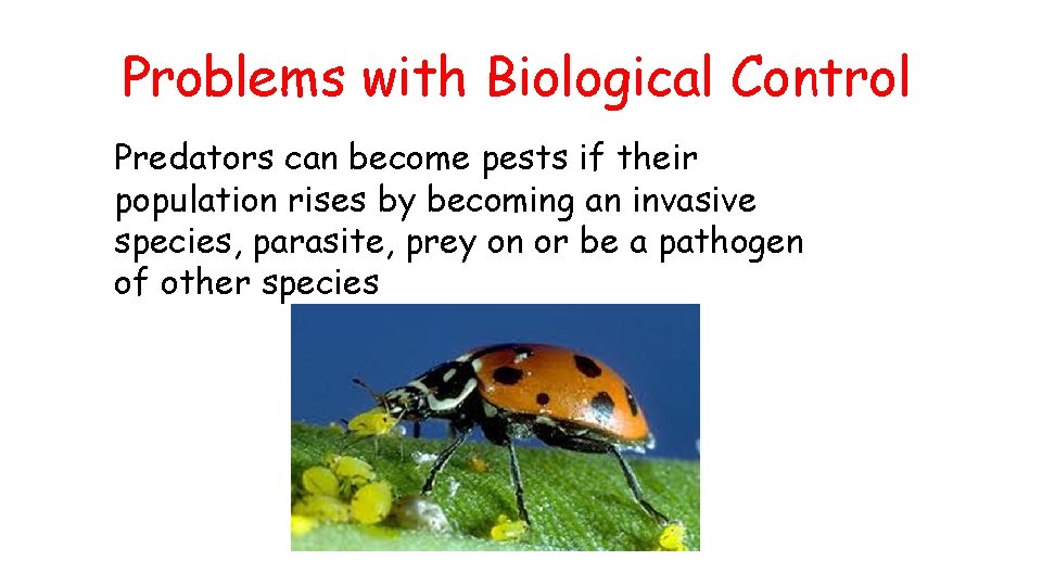 Problems with Biological Control Predators can become pests if their population rises by becoming