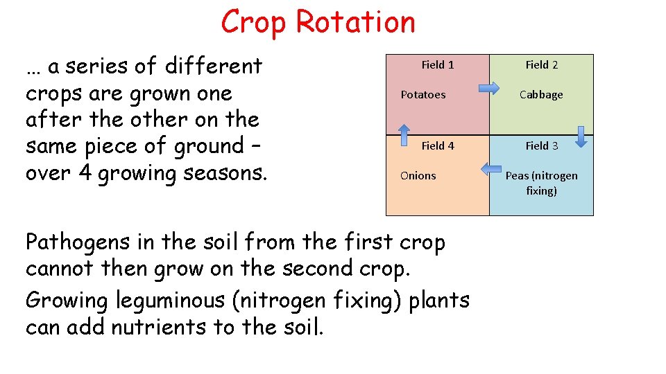 Crop Rotation … a series of different crops are grown one after the other