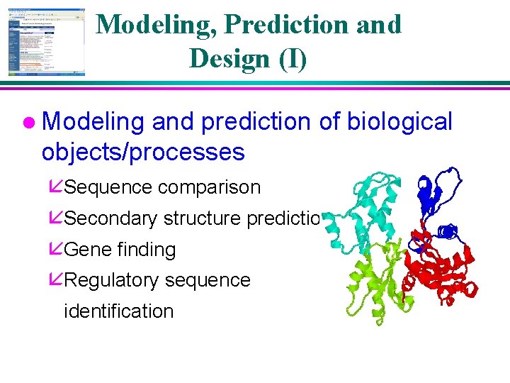 Modeling, Prediction and Design (I) l Modeling and prediction of biological objects/processes åSequence comparison