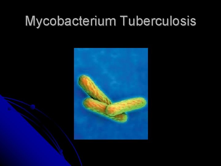 Mycobacterium Tuberculosis 