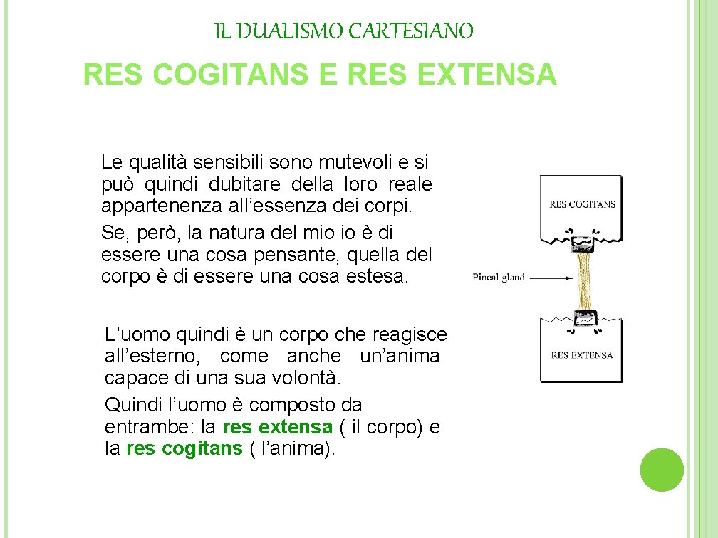 IL DUALISMO CARTESIANO RES COGITANS E RES EXTENSA Le qualità sensibili sono mutevoli e IL DUALISMO CARTESIANO RES COGITANS E RES EXTENSA Le qualità sensibili sono mutevoli e