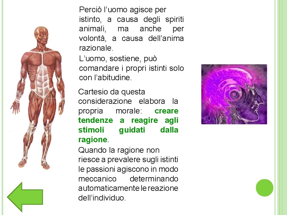 Perciò l’uomo agisce per istinto, a causa degli spiriti animali, ma anche per volontà, Perciò l’uomo agisce per istinto, a causa degli spiriti animali, ma anche per volontà,