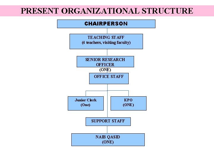 PRESENT ORGANIZATIONAL STRUCTURE CHAIRPERSON TEACHING STAFF (4 teachers, visiting faculty) SENIOR RESEARCH OFFICER (ONE)