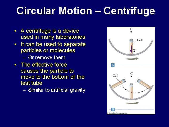 Circular Motion – Centrifuge • A centrifuge is a device used in many laboratories