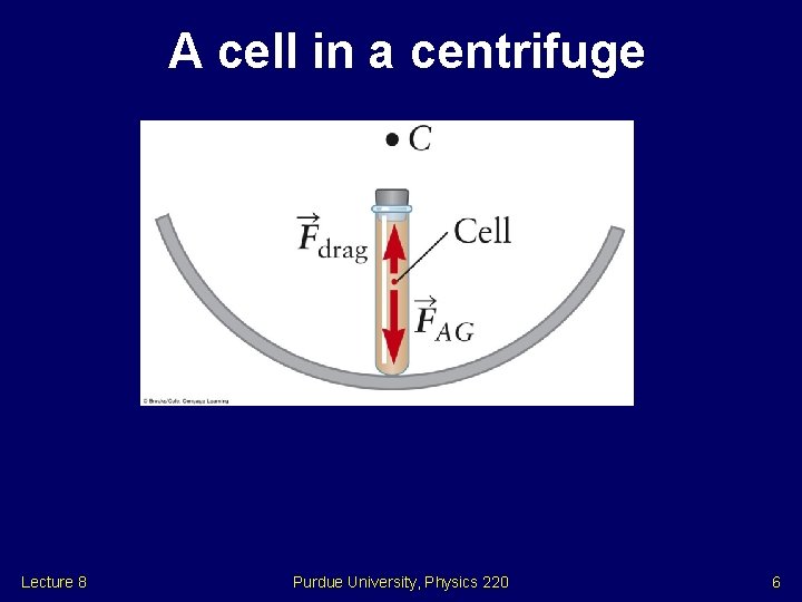 A cell in a centrifuge Lecture 8 Purdue University, Physics 220 6 